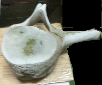 C0380225.jpg