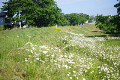 DSC00116.JPG