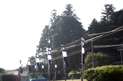 DSC00119.JPG