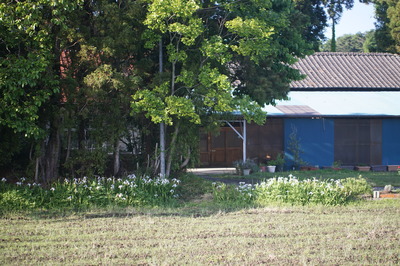 DSC00121.JPG