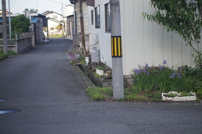 DSC00143.JPG
