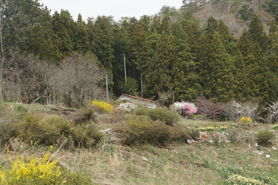 DSC09842.JPG