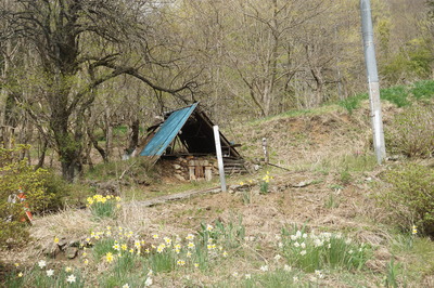 DSC09843.JPG