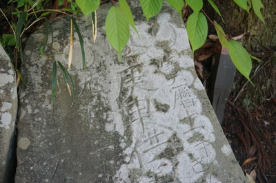 DSC09928.JPG