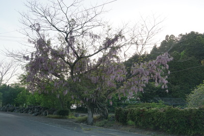 DSC09964.JPG