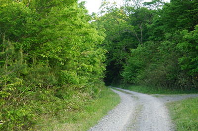 DSC09965.JPG