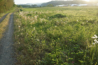 DSC09974.JPG