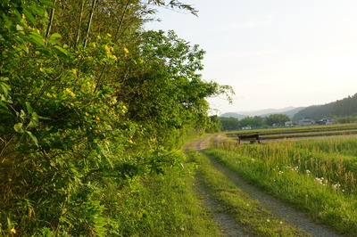 DSC09977.JPG