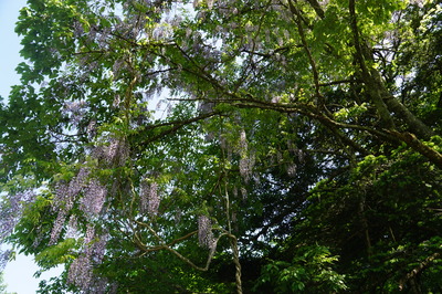 DSC09998.JPG