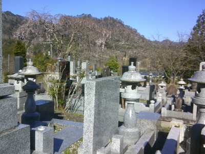 DSCF0241.JPG