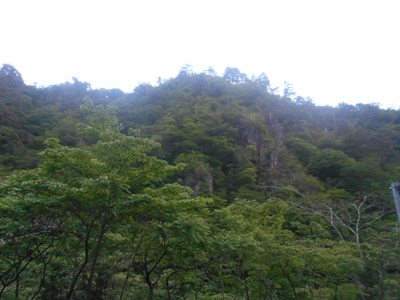 DSCN1720.JPG