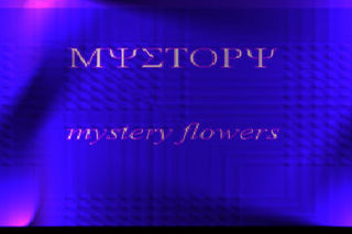 MYSTERY FFF1222.jpg