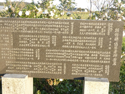 P1060387.JPG