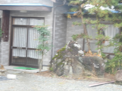 P1060456.JPG
