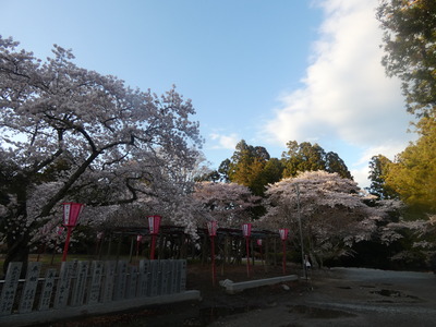 P1060811.JPG