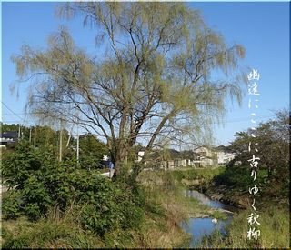 akiyanagisoma1111.jpg