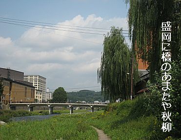 akiyanamo1.jpg