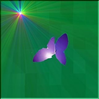 butterflyssssss11111.jpg
