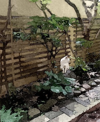 cattuyu1122_FotoSketcher.jpg