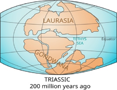 chichhukaisea.jpg