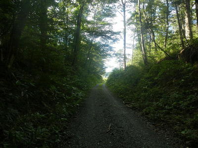 coutryway11.jpg