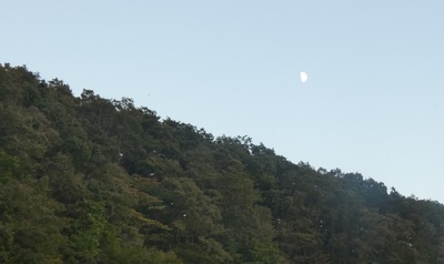 eveningmoon11.jpg