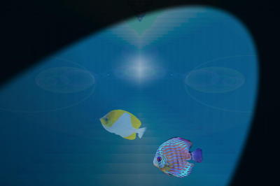 fishmystery3.jpg