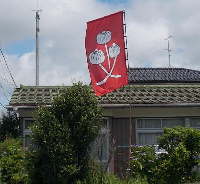 flagkinoko111.jpg