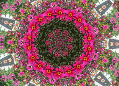 flowercircle2.jpg