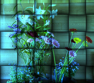 flowerrrrr1234new122233344444555.jpg