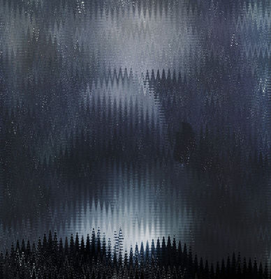 forestbbbb5654321.jpg