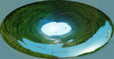 forestcube.jpg