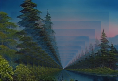 forestevening1232144556666.jpg