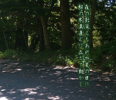 forestshadow.jpg