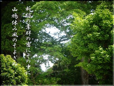 frshgreen1111.jpg
