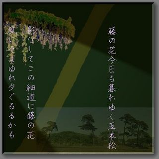 fujiiiiii123-thumbnail2[1].jpg