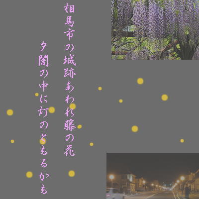 fujinohanasoma11.jpg