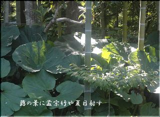fukitake111.jpg