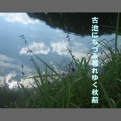 furuikeazami.JPG
