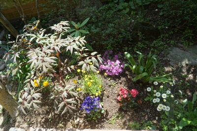 gardenprettyflowers.jpg