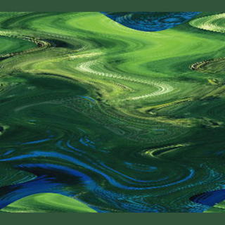 greenriverrr1.jpg
