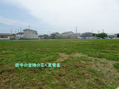 greenscen1.jpg