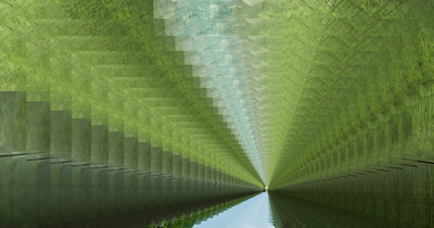 greentunnel.jpg