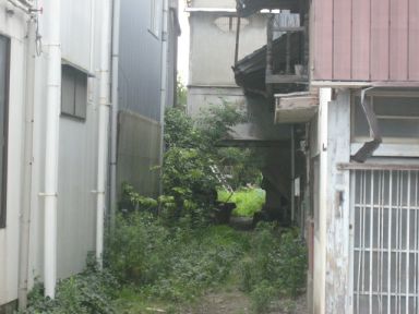 haioku11112.jpg