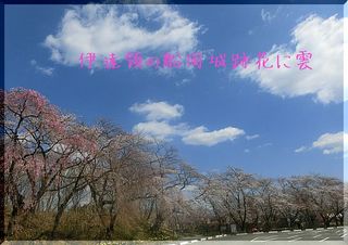 hanakumo11.jpg