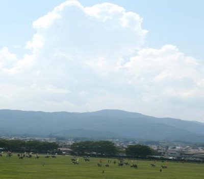 hibarigaharahata.jpg