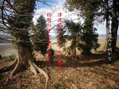 hokoraie111.jpg