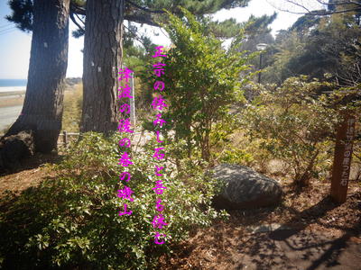 isoyama11111.jpg