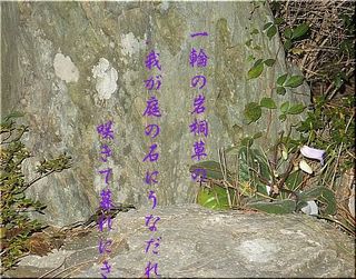 iwagirisouuuuu111.jpg