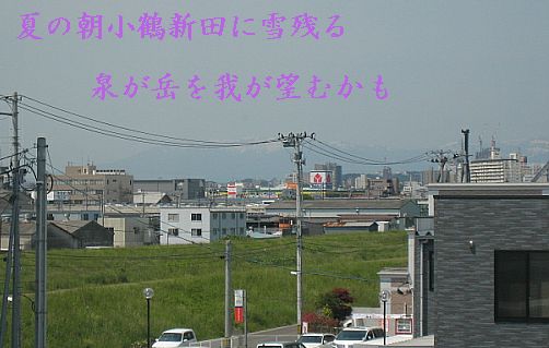 izuminokoruuu11.jpg